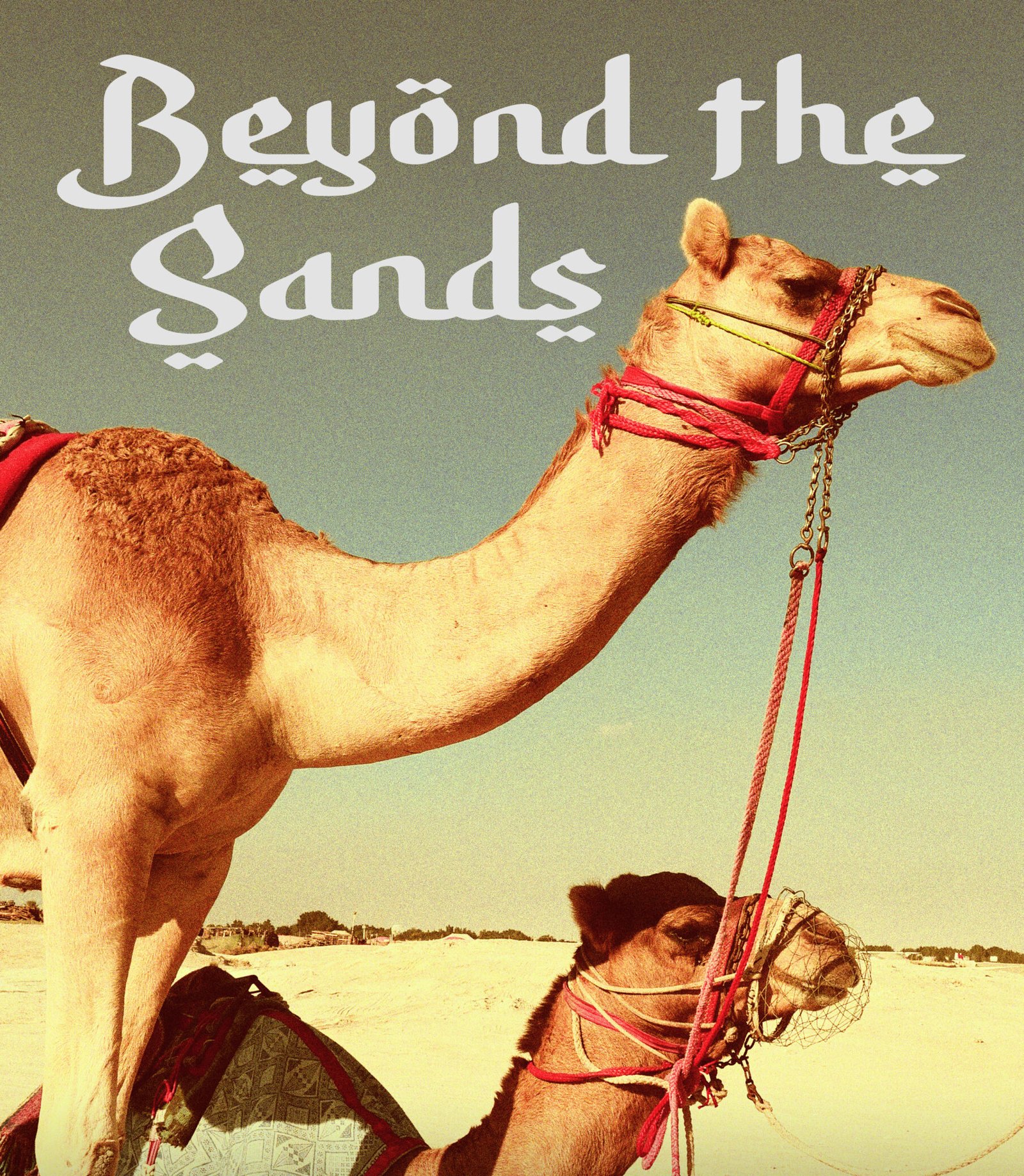 Read more about the article Beyond The Sand