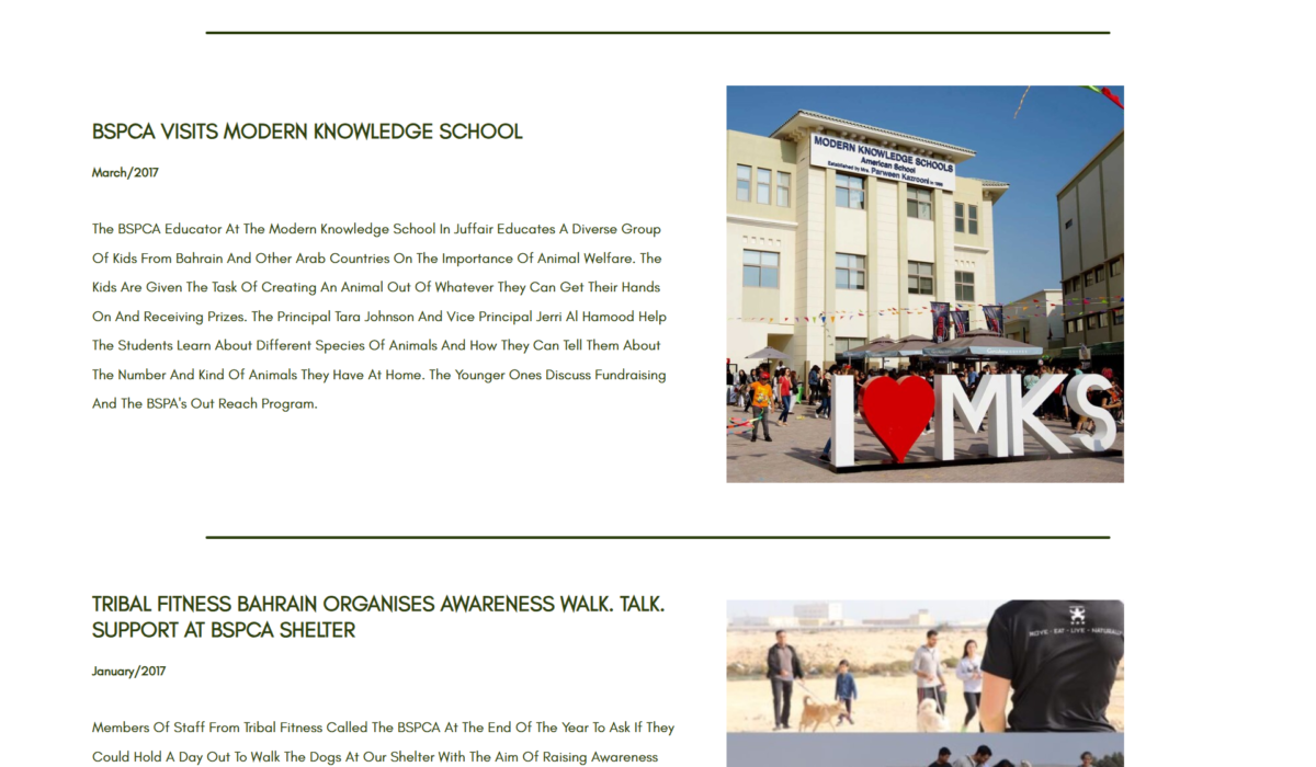 screencapture-file-D-SARA-polytechnic-semesters-web-media-Semester-3-WA2-assignments-assignment-2-Website-news-html-2026-04-30-12_18_20