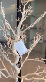 24FD3988-100E-484C-9E1A-1D0C29A94F0A_4_5005_c