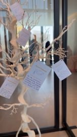 871895A6-1E2E-4983-BBA6-EBD28F5971F2_4_5005_c