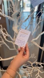 B04196B1-EE3A-4F7E-9C19-90F9DB8C41B2_4_5005_c